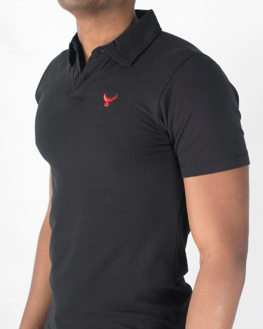 The Falcon Polo
