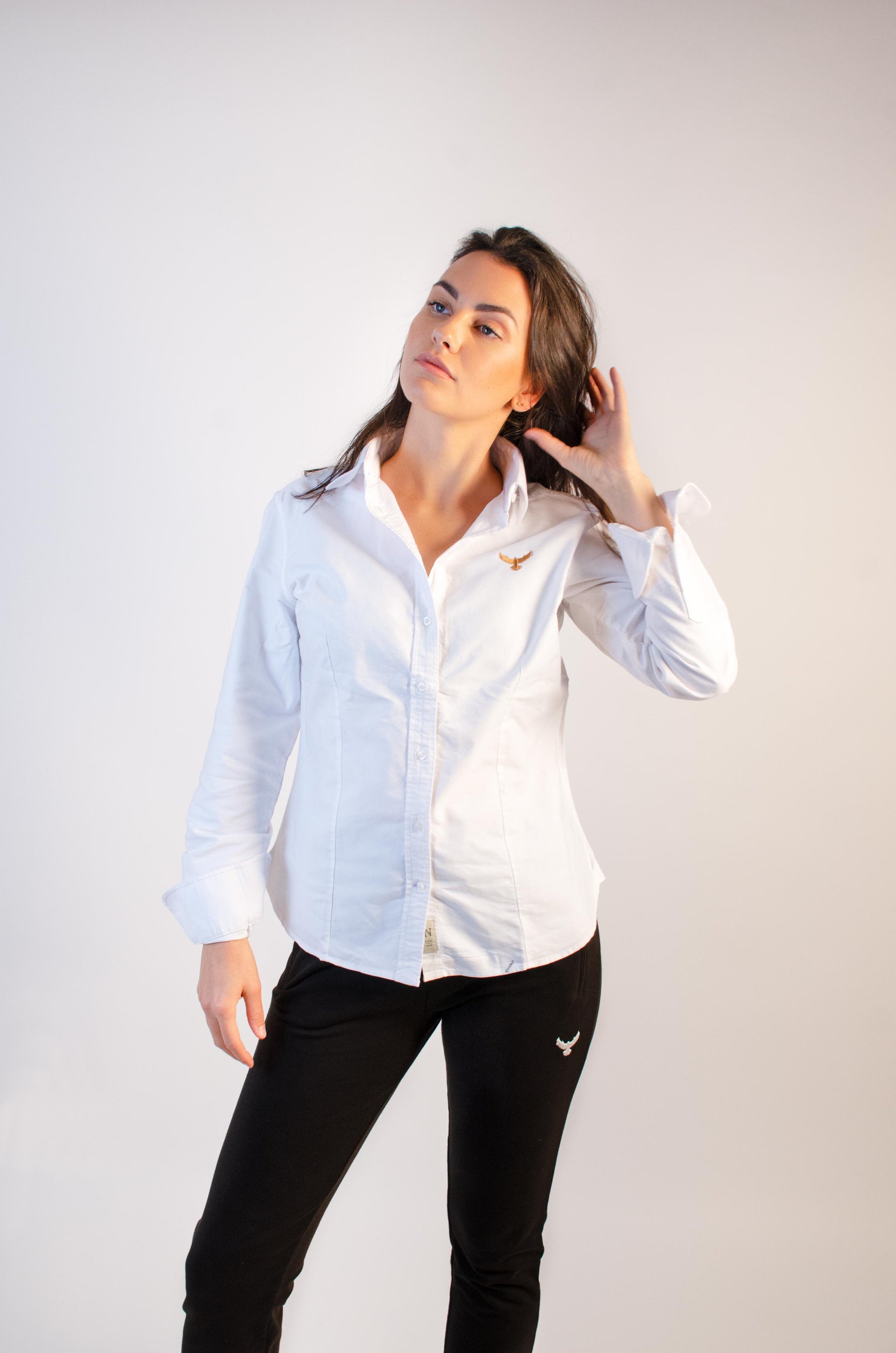 Blaque Falcon Introduces......The Oxford Shirt